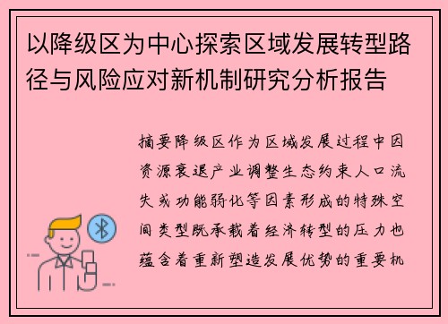 以降级区为中心探索区域发展转型路径与风险应对新机制研究分析报告